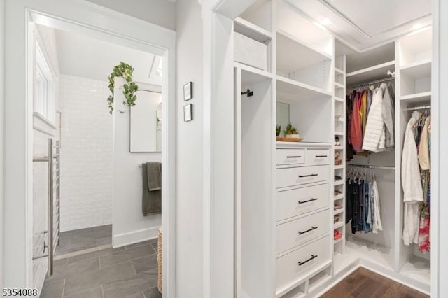 view of walk in closet