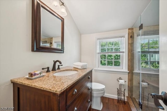bathroom featuring vaulted ceiling, wood finished floors, vanity, baseboards, and toilet