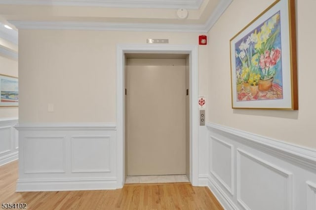 corridor featuring crown molding, wainscoting, light wood finished floors, a decorative wall, and elevator