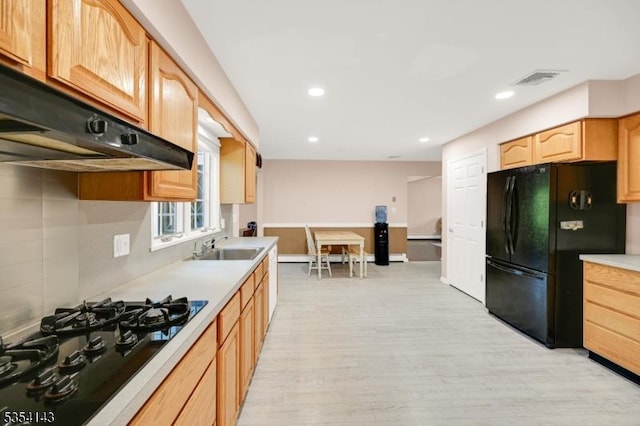 12 Toth Ct, Clifton City, NJ 07014 - kitchen with light countertops, under cabinet range hood, a sink, light wood finished floors, and black appliances