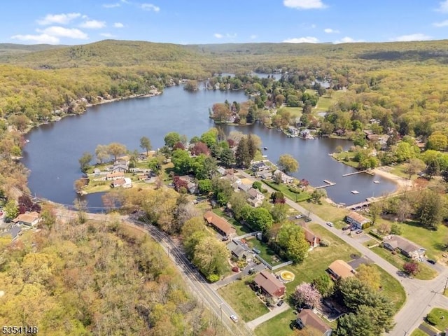 drone / aerial view with a water view and a view of trees