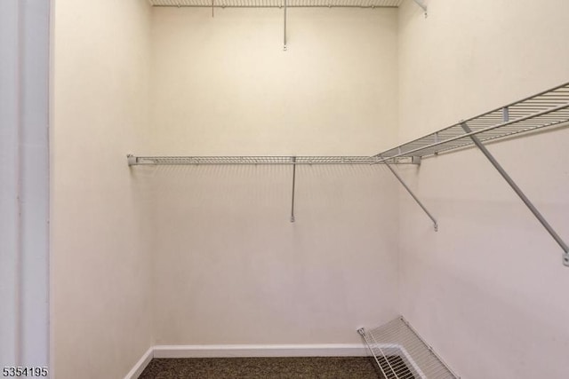 1310 Hamilton Dr, Rockaway Twp, NJ 07866 - walk in closet with carpet flooring