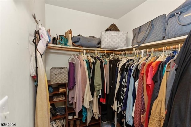 view of spacious closet
