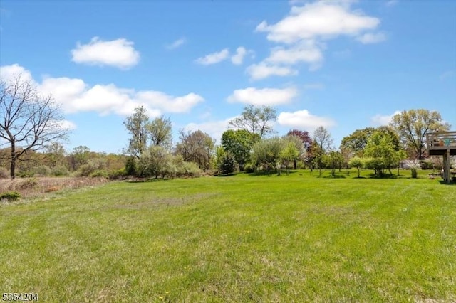 view of yard featuring a rural view