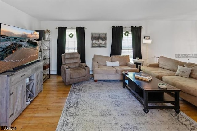 living room featuring light wood finished floors and a healthy amount of sunlight