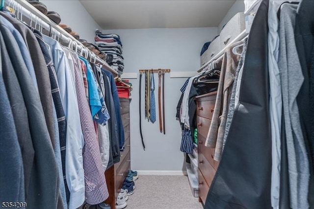 spacious closet with carpet