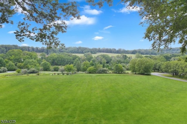 view of property's community with a lawn