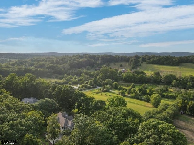 bird's eye view