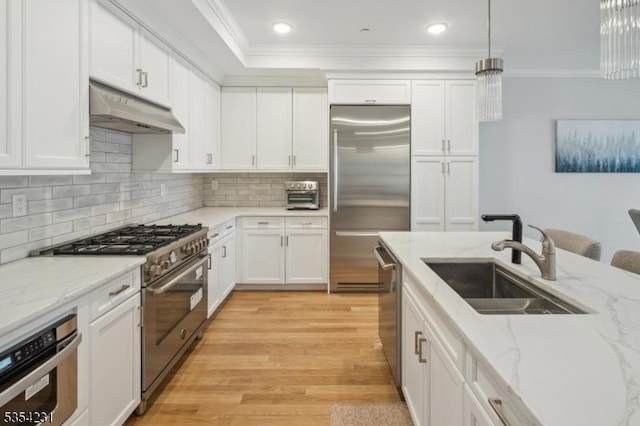 kitchen featuring a sink, high end appliances, crown molding, and under cabinet range hood