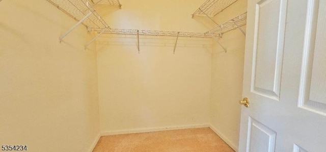 spacious closet featuring light colored carpet