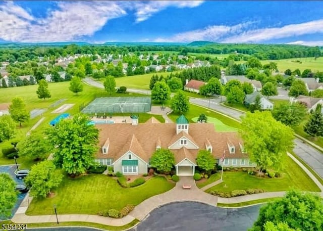 bird's eye view