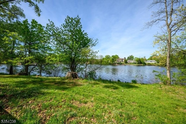 property view of water