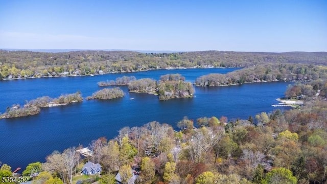 birds eye view of property with a water view and a view of trees