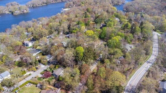 birds eye view of property featuring a water view and a forest view