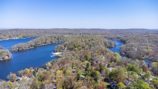 drone / aerial view featuring a water view and a forest view