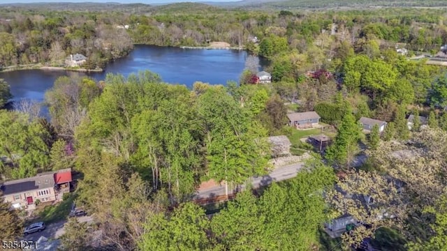12 Fox Ledge Dr, Vernon Twp, NJ 07418 - bird's eye view featuring a view of trees and a water view