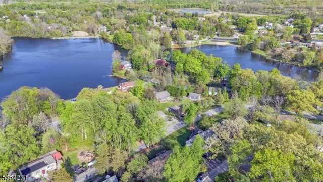 12 Fox Ledge Dr, Vernon Twp, NJ 07418 - bird's eye view with a water view and a view of trees