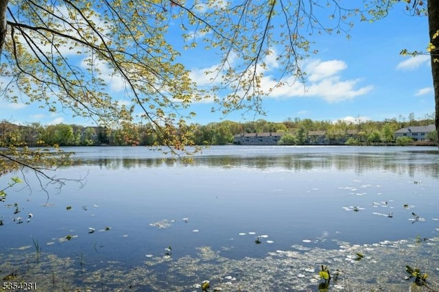 property view of water