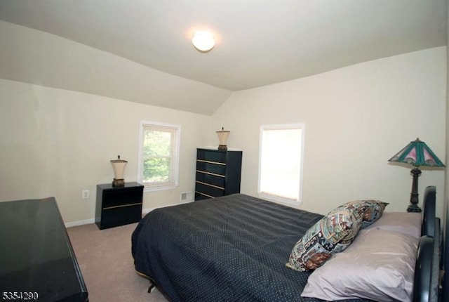 29 Olcott St, Franklin Twp, NJ 08873 - carpeted bedroom featuring baseboards and lofted ceiling