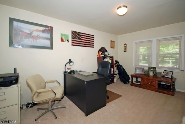 29 Olcott St, Franklin Twp, NJ 08873 - view of carpeted home office