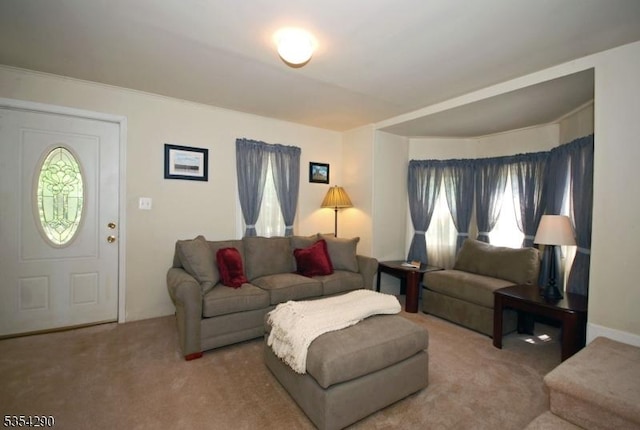 29 Olcott St, Franklin Twp, NJ 08873 - carpeted living room with a wealth of natural light