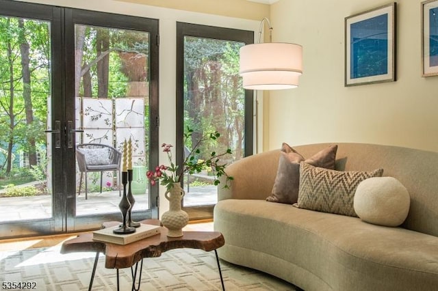 interior space with french doors and a wealth of natural light