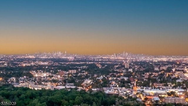 37 Gregory Ave, West Orange Twp, NJ 07052 - view of city