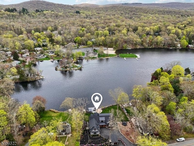 bird's eye view with a water view and a wooded view