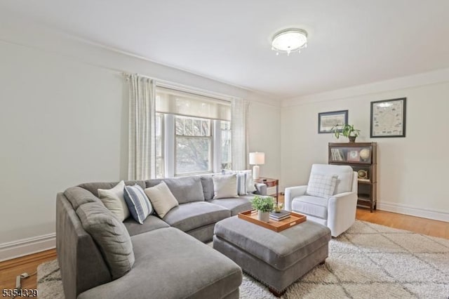 living room with baseboards and wood finished floors