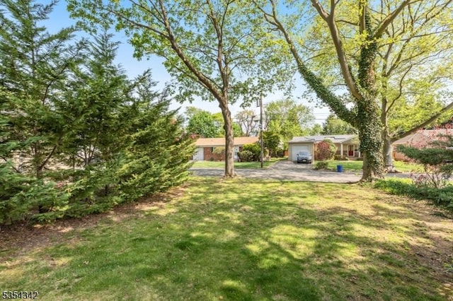 view of yard with driveway