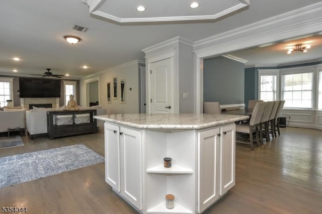 kitchen with ornamental molding, a ceiling fan, wood finished floors, and white cabinetry