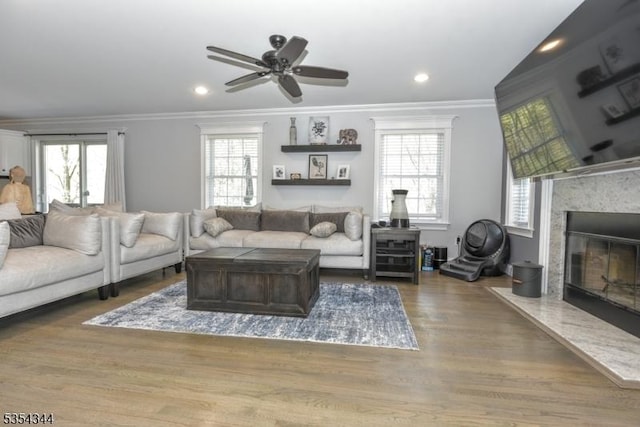 living room with crown molding, a premium fireplace, and a healthy amount of sunlight