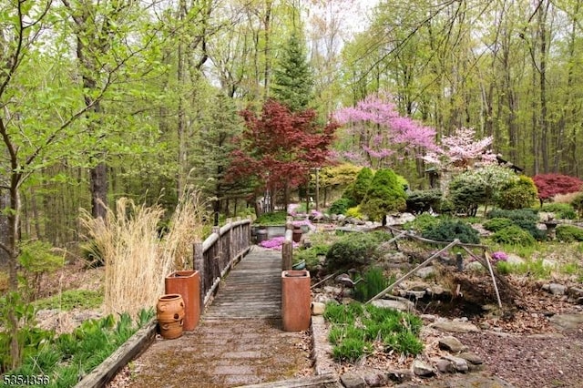31 Kent Rd, Hampton Twp, NJ 07860 - surrounding community with a forest view