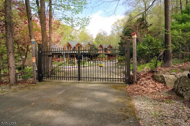 31 Kent Rd, Hampton Twp, NJ 07860 - view of gate