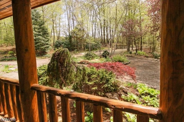 31 Kent Rd, Hampton Twp, NJ 07860 - view of yard