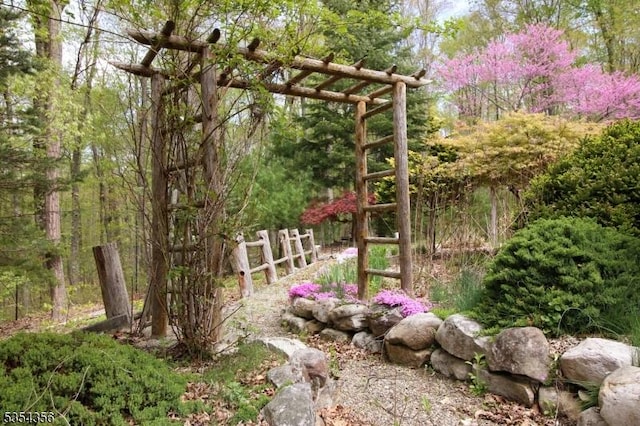 31 Kent Rd, Hampton Twp, NJ 07860 - view of yard with a forest view