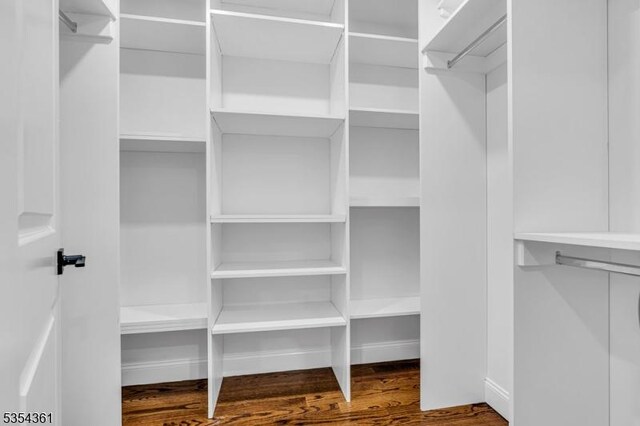 walk in closet featuring wood finished floors