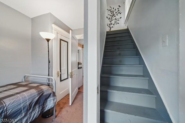 149 Roessler St, Boonton Town, NJ 07005 - stairs with carpet