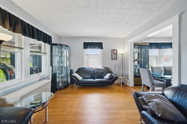 149 Roessler St, Boonton Town, NJ 07005 - living room featuring a textured ceiling and wood finished floors