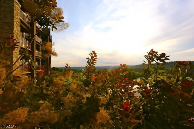 view of nature at dusk