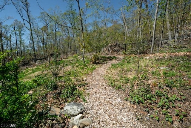 view of local wilderness