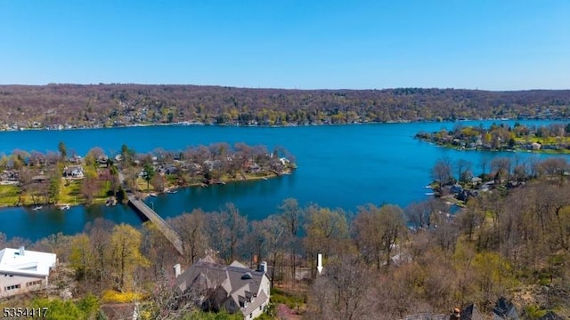 drone / aerial view featuring a water view and a forest view