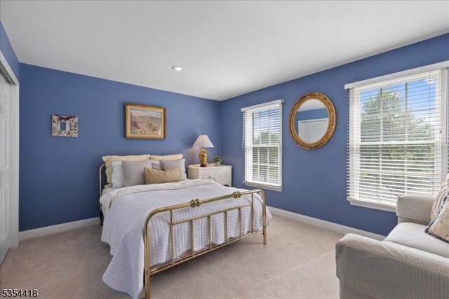 17 Hunters Path, Montgomery Twp, NJ 08558 - bedroom with baseboards, carpet, and a closet