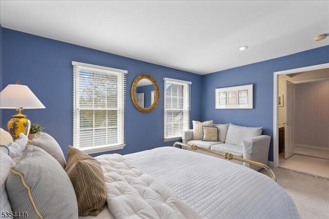17 Hunters Path, Montgomery Twp, NJ 08558 - bedroom featuring carpet floors