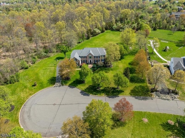 17 Hunters Path, Montgomery Twp, NJ 08558 - bird's eye view featuring a forest view