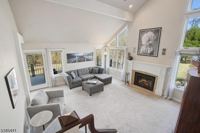 25 Hook Mountain Dr, Clinton Twp, NJ 08801 - carpeted living room with high vaulted ceiling, a glass covered fireplace, baseboards, and visible vents