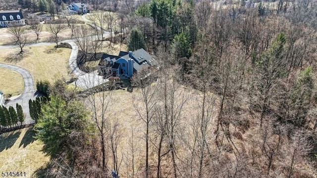 25 Hook Mountain Dr, Clinton Twp, NJ 08801 - bird's eye view with a wooded view