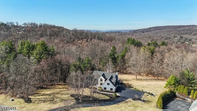 25 Hook Mountain Dr, Clinton Twp, NJ 08801 - exterior space with a forest view