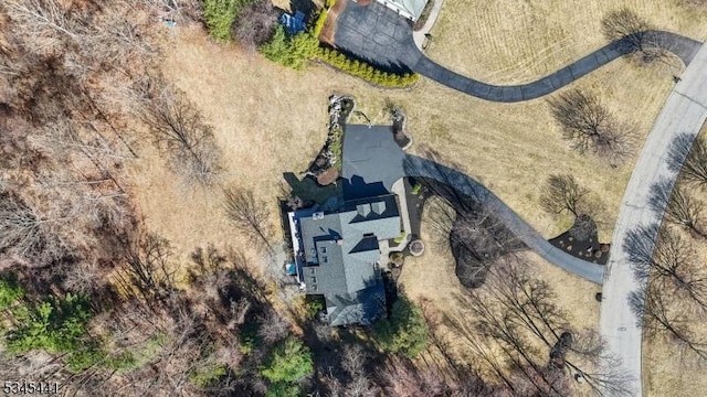 25 Hook Mountain Dr, Clinton Twp, NJ 08801 - drone / aerial view