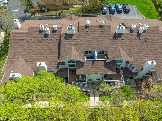 bird's eye view